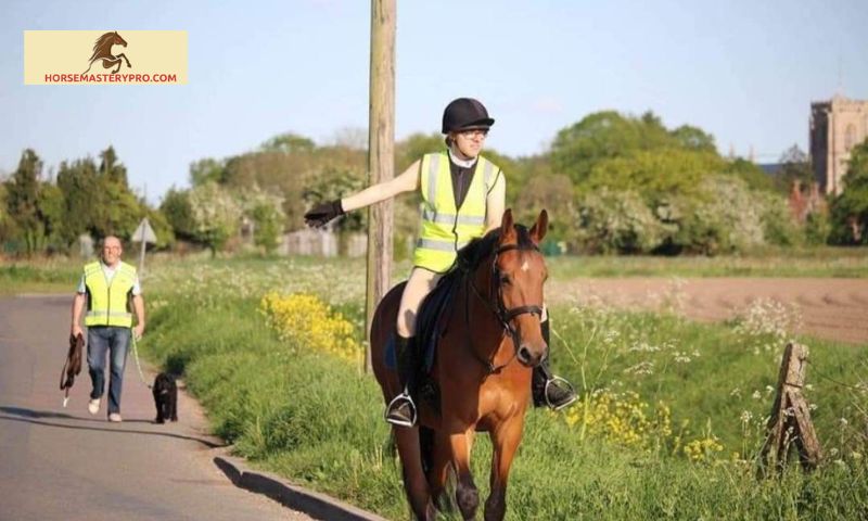 Factors to Consider When Choosing Reflective Horse Riding Gear