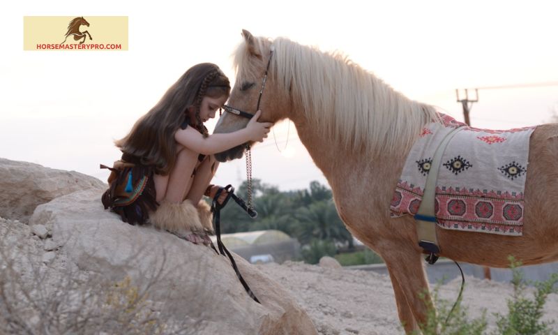 Faris Al Khaleej Equestrian Equipment: Elevating Your Equestrian Experience
