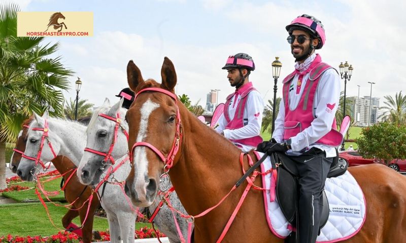 Quality Assurance and Standards at Faris Al Khaleej Equestrian Equipment
