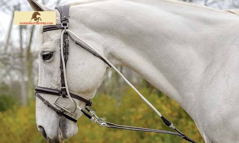 De Gogue Horse Training Aid: Unlocking the Potential of Your Equine Partner