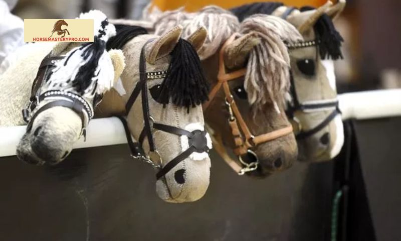 Definition and Overview of Hobby Horse Competition in the UK