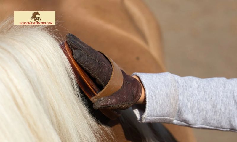 Horse Grooming Kit Ireland: The Key to Elegance and Optimal Equine Care