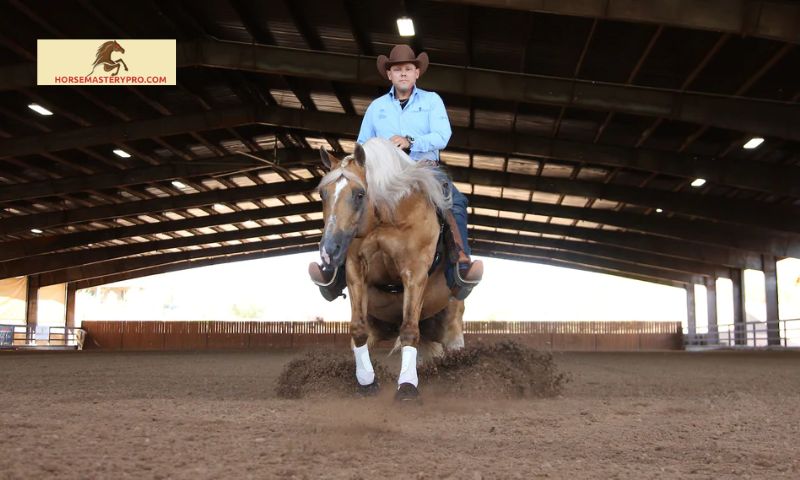 Randy Paul Horse Trainer: Unlocking the True Potential of Your Equine Partner