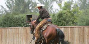 Justin Wright Horse Trainer