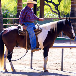 Brad Lund Horse Trainer