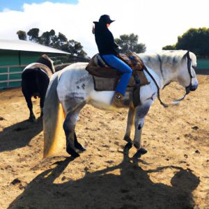Brittany Vandenberg Horse Trainer