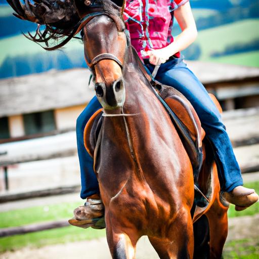 Feel the adrenaline rush as you embark on a sport horse adventure.