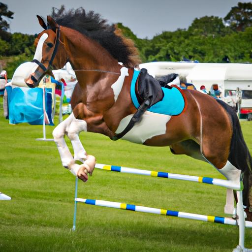 Exciting display of talent and potential at the Horse Sport Ireland Foal Championship 2021.