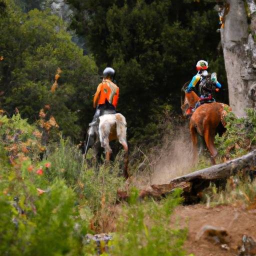 The bond between rider and horse evident as they tackle the demanding uphill segment of the extreme mountain trail horse competition