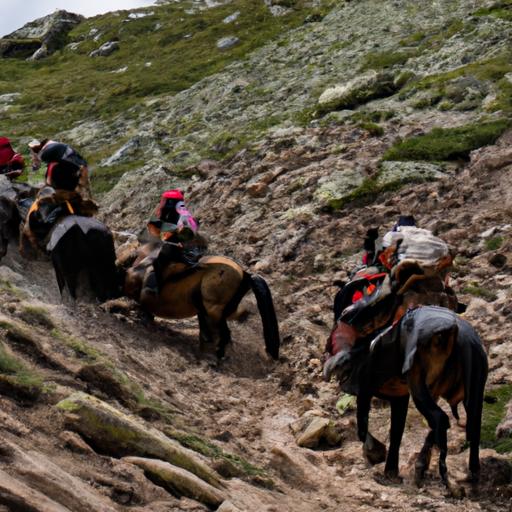 Extreme Mountain Trail Horse Competition