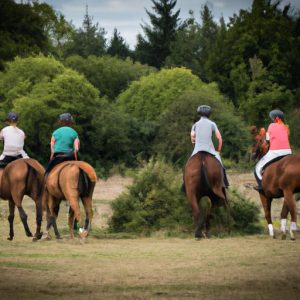 Garda Vetting Horse Sport Ireland