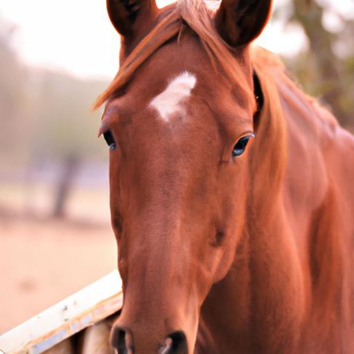 Experience the gentle nature and peaceful demeanor of these magnificent equines.