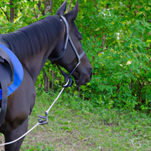 Track your horse's movements with state-of-the-art GPS technology.