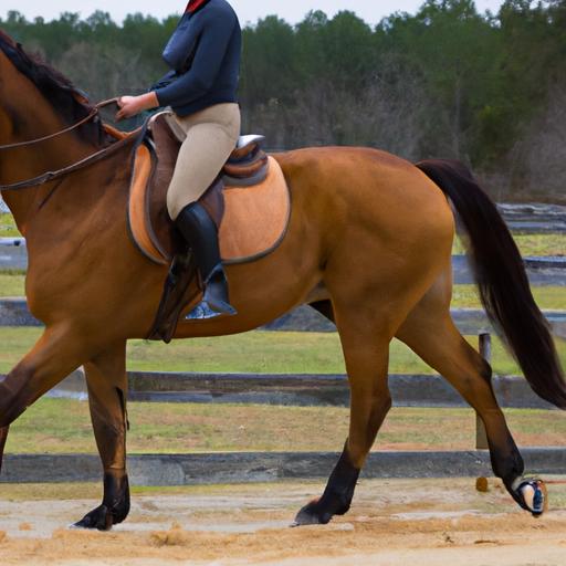 The partnership between horse and rider shines as they execute advanced academic horse training movements.