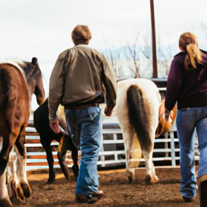 Horse Training Apprenticeships