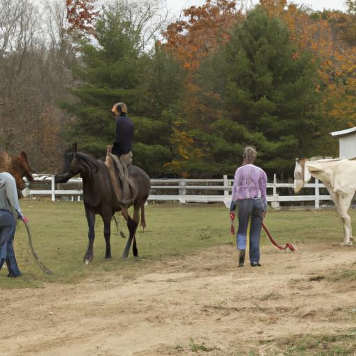 Horse Training Ohio