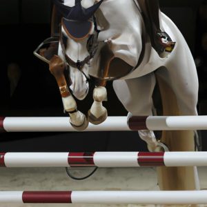 Horse Vaulting History