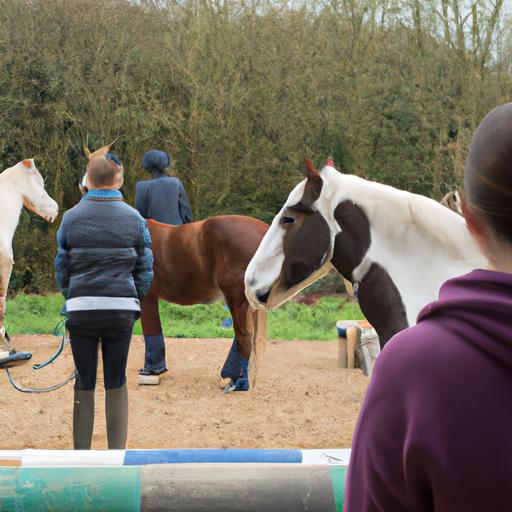Nvq Level 3 Horse Care And Management
