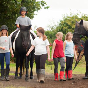 Pony Club Horse And Pony Care Questions