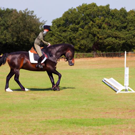 A rider engaging in academic horse training to establish a strong foundation with their horse.