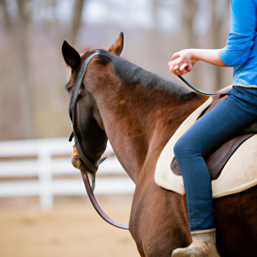 Commands establish a strong bond and clear communication between rider and horse.