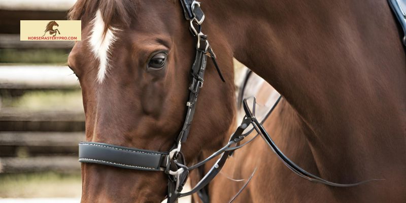 Selecting the Right Equipment for Your Equine Facility