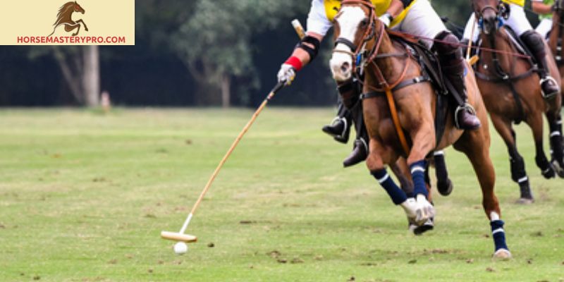 Unleashing the Thrill: The Fascinating World of Polo Cross Horse Sport