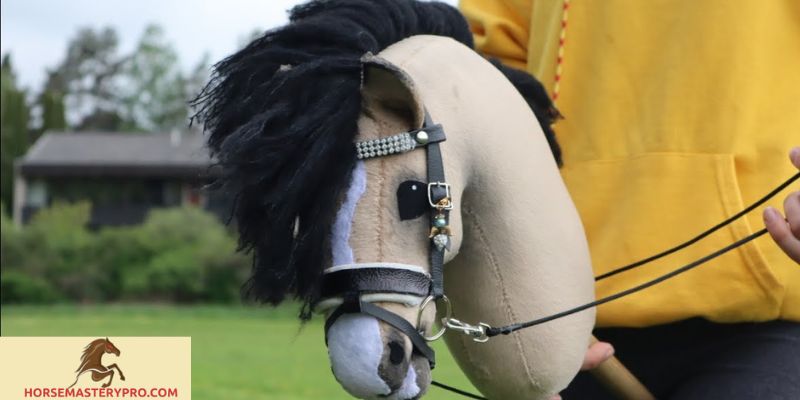 Hobby Horse Competition Video: Unveiling the Artistry and Passion