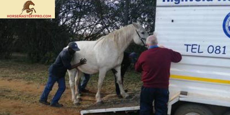 Highveld Horse Care Unit Adoption