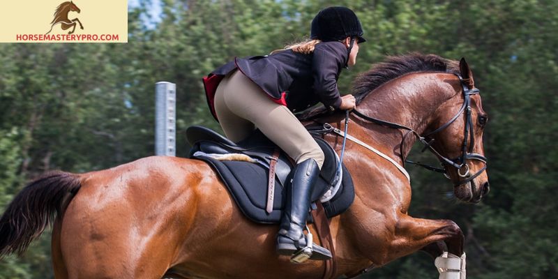 Versatility Horse Competition: Embracing the True Essence of Equine Excellence