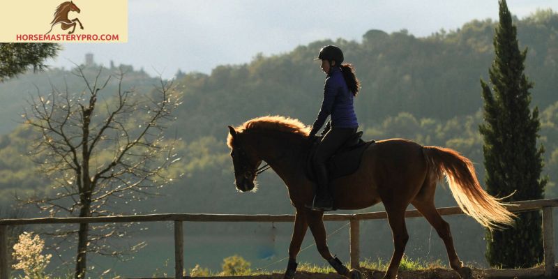 Exploring the Importance of Equestrian Equipment in Italy