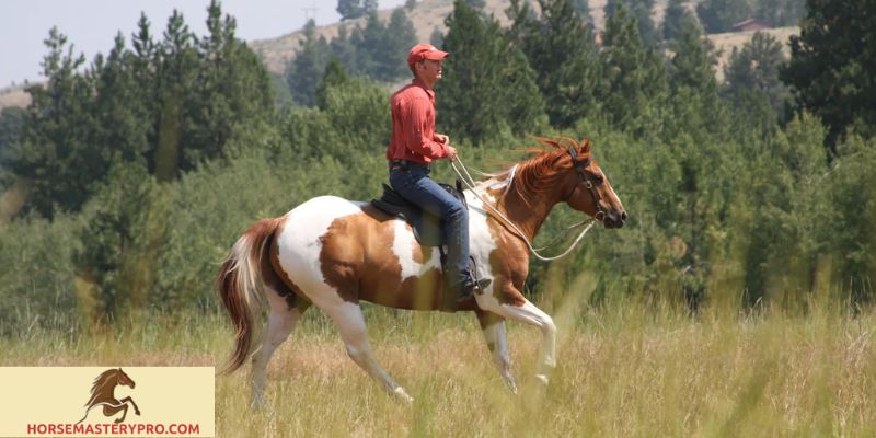 Draft Horse Training: Unlocking the Potential of These Majestic Equines