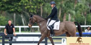 Elaborate Dressage in Horse Training: Unlocking the True Potential