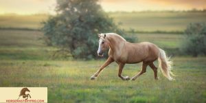 Mimicry Horse Behavior: Unlocking the Secrets Behind Equine Imitation