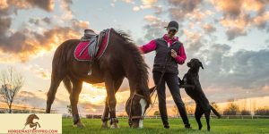 Horses in Training 2022: Unlocking the Potential