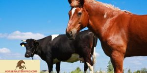 Horse Naughty Behavior: Understanding and Managing Your Equine Companion