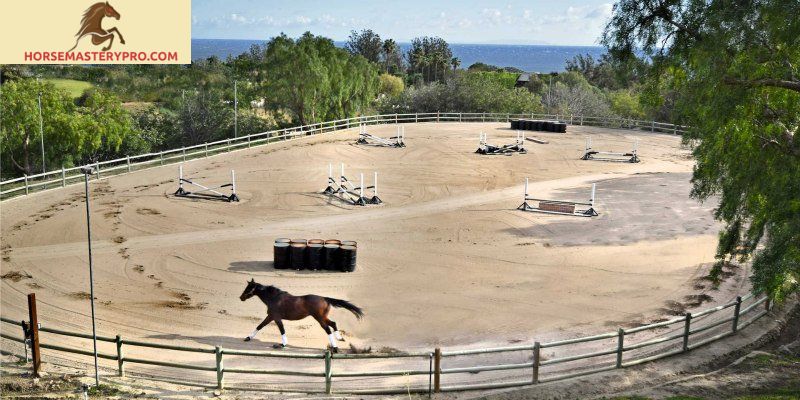 My Texas Ranch Horse Training Center