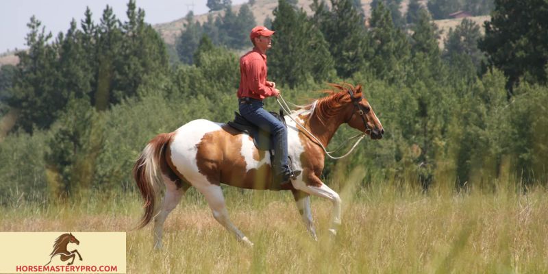 Horse Behavior Head Tossing: Unlocking the Secrets of Equine Communication