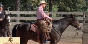 Horse Training Videos: Unlocking the Secrets of Horsemanship with Buck Brannaman