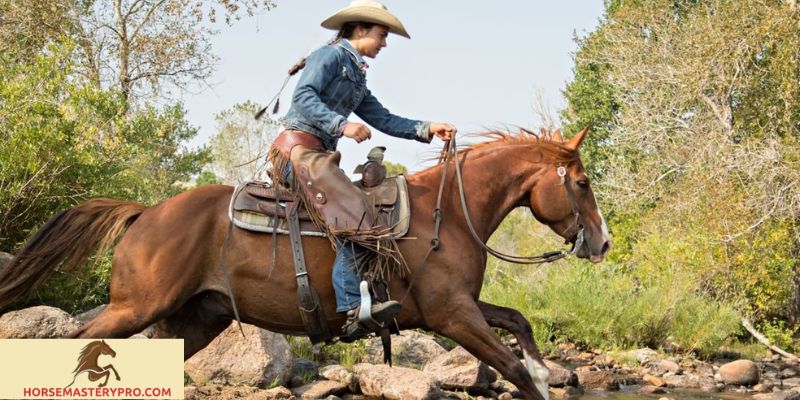 Horse Training Equipment Western: The Key to Successful Western Riding