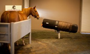 Horse Breeding Equipment: Ensuring Success in the Equestrian Industry