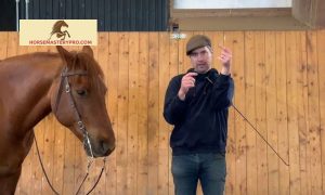 Smart Equestrian Equipment: Revolutionizing Horse Riding Safety and Performance