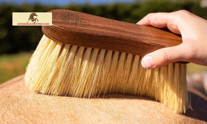 Step-by-Step Guide to Grooming Your Horse with a Flick Brush