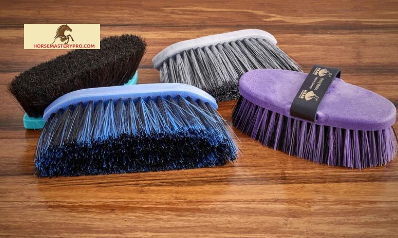 How to Choose the Right Horse Grooming Flick Brush