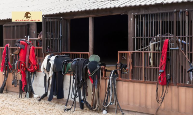 Safety Measures for Equine Equipment and Facilities