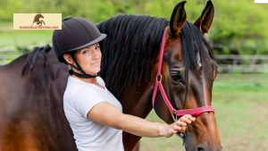 Ultra Horse Grooming Products: Enhancing Your Horse's Beauty and Health