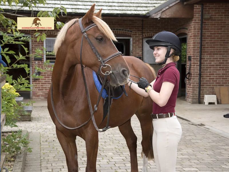 Finding and Applying for Apprenticeships in Horse Care and Management