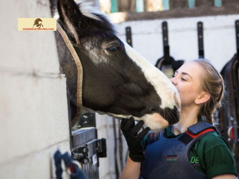 Unlocking the Benefits of an Apprenticeship in Horse Care and Management