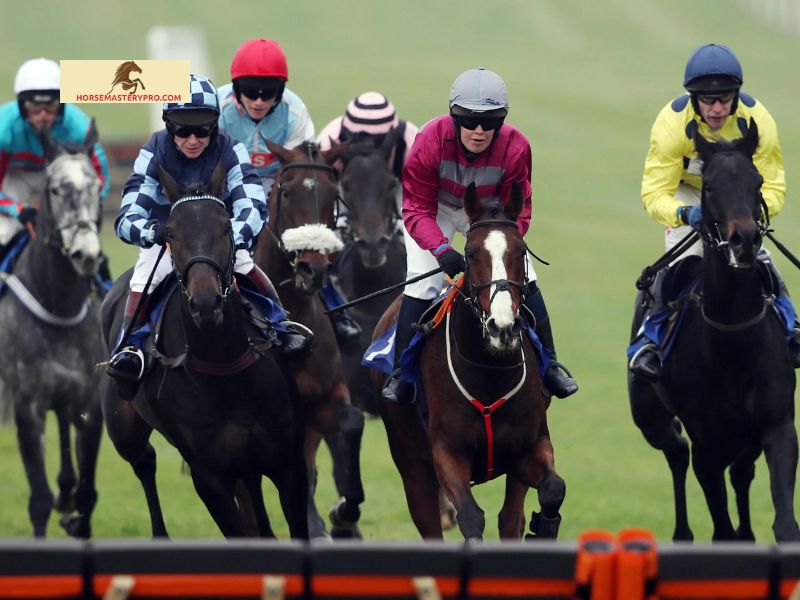 The Importance of Horse Racing Tips for Bettors