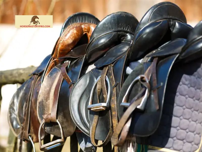 Finding the Ideal Horse Riding Shop in Al Quoz